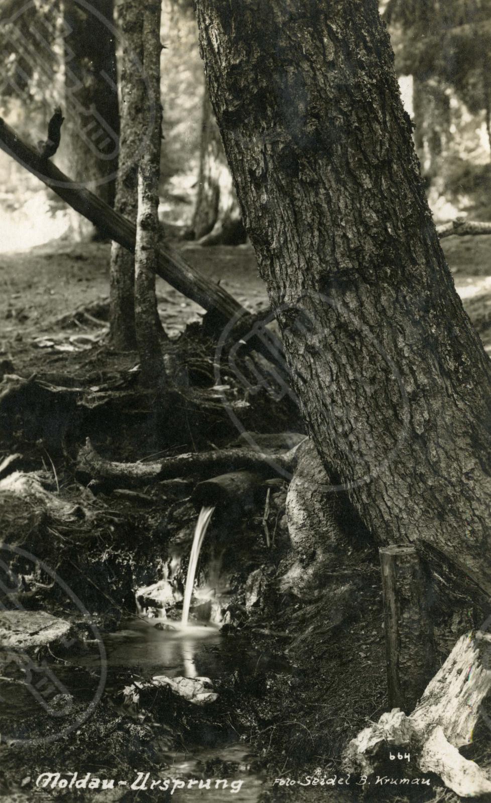 Pramen Vltavy, fotografie okolo roku 1910. Archiv Musea Fotoatelier Seidel.
