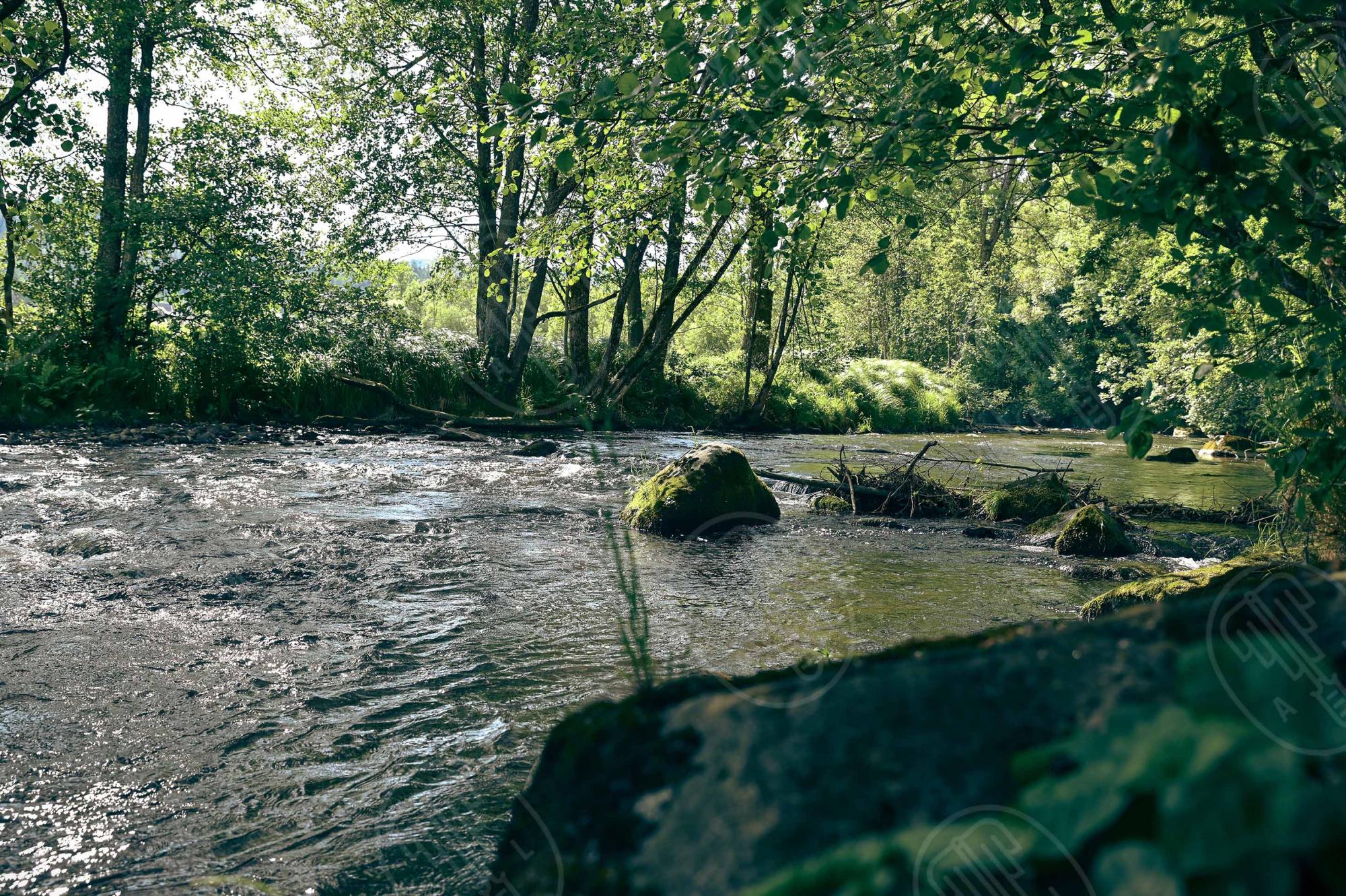 Řeka Große Mühl – tok v šumavském podhůří, kdysi důležitá vodní cesta pro plavení dřeva do Dunaje. Foto NEBE 2025. Řeka Große Mühl – tok v šumavském podhůří, kdysi důležitá vodní cesta pro plavení dřeva do Dunaje. Foto NEBE 2025.