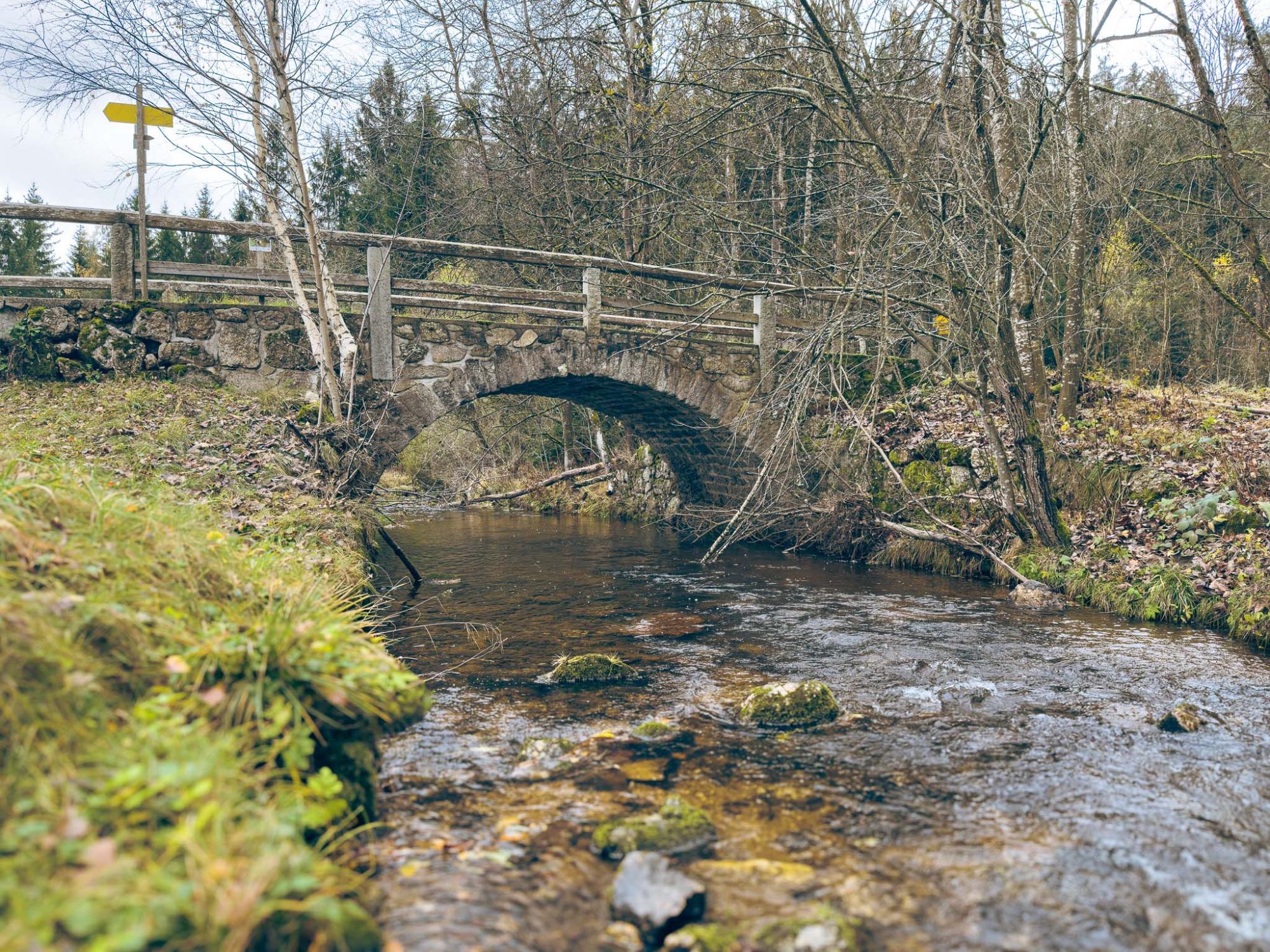 Malše – řeka pramenící v Novohradských horách, kdysi využívaná k plavení dřeva a dnes důležitý zdroj pitné vody pro Českobudějovicko. Foto NEBE 2025. Malše – řeka pramenící v Novohradských horách, kdysi využívaná k plavení dřeva a dnes důležitý zdroj pitné vody pro Českobudějovicko. Foto NEBE 2025.
